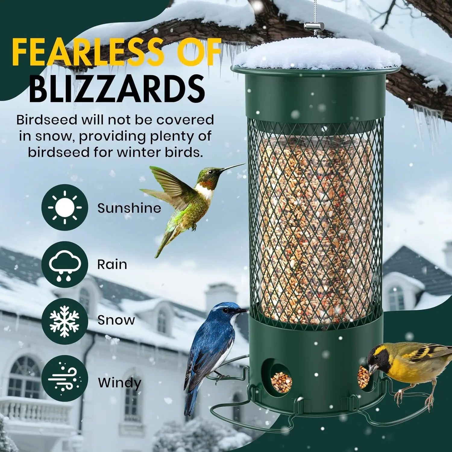 Bird Feeders for Outdoors Squirrel Proof with Weight-Activated Perches, Hanging Bird Feeder for Outside, Metal Feeder for Wild Cardinal, Finch, Blue Jay, Chickadee, 3LB Seed Capacity, Green - Catanox